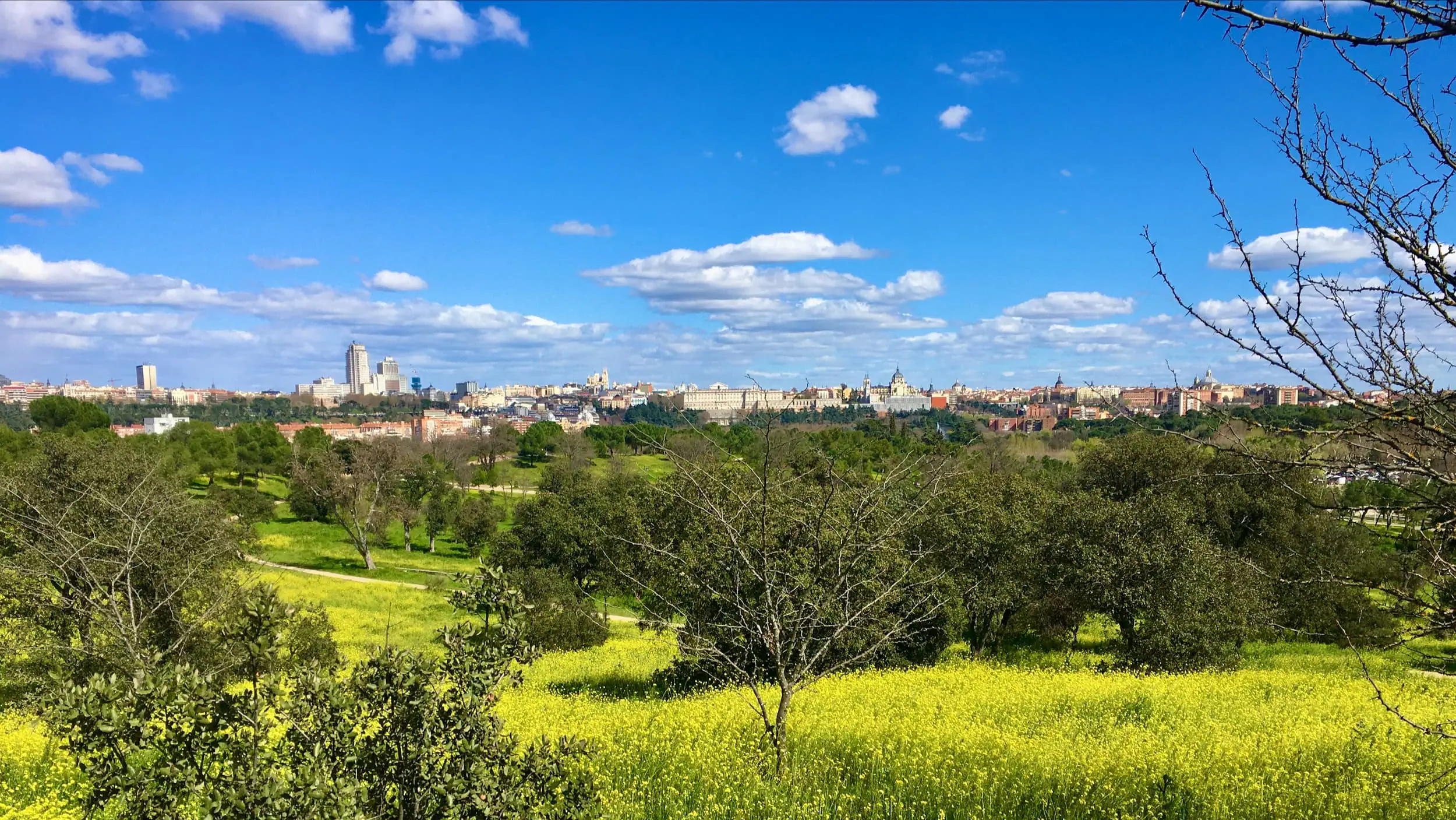 Uitzicht vanuit Casa de Campo met groene bomen en lentebloemen op de voorgrond en de skyline van Madrid met de torens van Plaza de España in de verte.